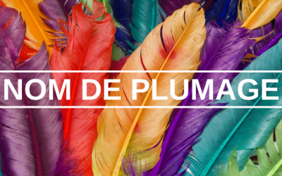 Nom de Plumage